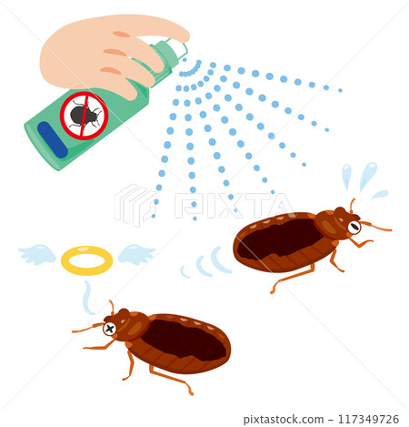 用殺蟲劑消滅的臭蟲 用殺蟲劑消滅的臭蟲 117349726