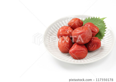 醃李子(紫蘇醃製) 醃李子(紫蘇醃製) 117350178