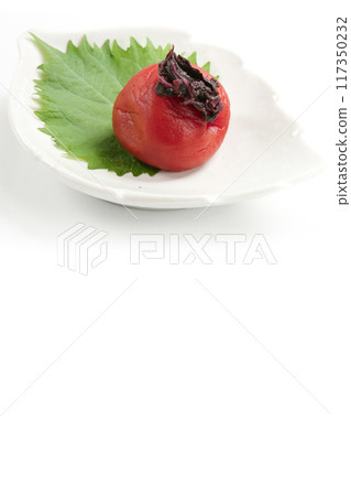 Pickled plum (pickled in shiso) Pickled plum (pickled in shiso) 117350232