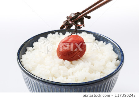 梅子(紫蘇醃製)和米飯 梅子(紫蘇醃製)和米飯 117350242