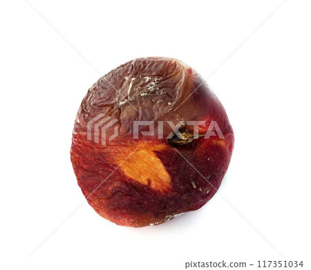 old nectarines in studio 117351034
