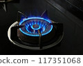 Gas stove burner with open blue flame in close up 117351068
