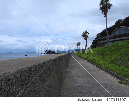 海岸海景海藍天多雲日本長崎 海岸海景海藍天多雲日本長崎 117351107