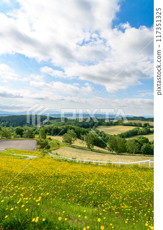 Sheep farms in northern Hokkaido 117351325