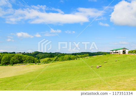 北海道北部的養羊場 117351334