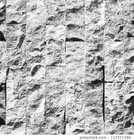 Cutting black white an grey organic marble wall rectangular, seamless lined up 117351366