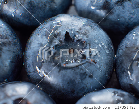 Close-up of Fresh Juicy Blueberries 117351483