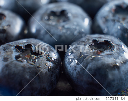 Close-up of Fresh Juicy Blueberries 117351484
