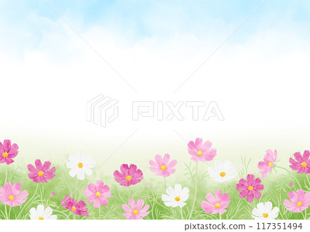 Cosmos flower field and blue sky landscape watercolor touch 117351494
