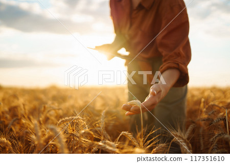 Farmer- woman on wheat field with tablet in his hands. Smart farm. Agriculture, gardening concept. 117351610