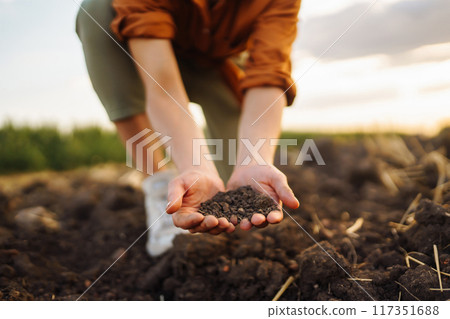 Female Hand of expert farmer collect soil and checking soil health before growth a seed of vegetable Female Hand of expert farmer collect soil and checking soil health before growth a seed of vegetable 117351688