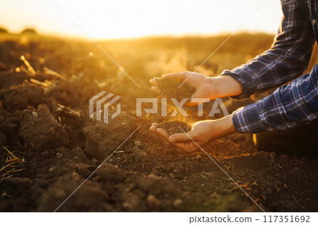 Hand of farmer collect soil, checking soil health before growth seed of vegetable Harvesting concept Hand of farmer collect soil, checking soil health before growth seed of vegetable Harvesting concept 117351692