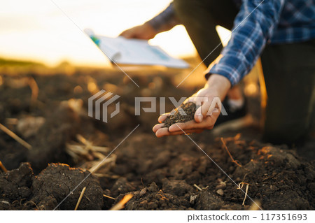 Hand of farmer collect soil, checking soil health before growth seed of vegetable Harvesting concept Hand of farmer collect soil, checking soil health before growth seed of vegetable Harvesting concept 117351693