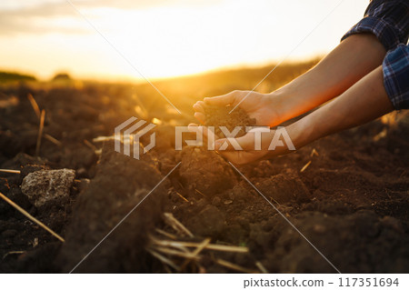 Hand of farmer collect soil, checking soil health before growth seed of vegetable Harvesting concept 117351694