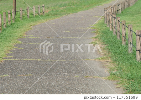 A paved road in the grassland 117351699