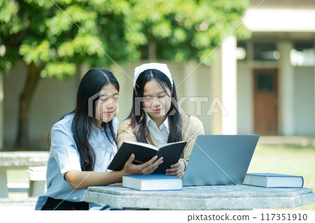 Group of students studying on campus outdoors 117351910