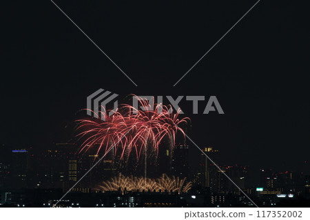 盛開在夏日夜空的煙火 - 十三煙火 - 浪速淀川煙火節 2024 盛開在夏日夜空的煙火 - 十三煙火 - 浪速淀川煙火節 2024 117352002