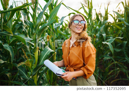 Farmer woman stands in field, inspects green corn plantation. Agricultural industry. Harvest concept Farmer woman stands in field, inspects green corn plantation. Agricultural industry. Harvest concept 117352095
