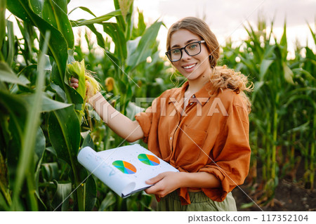 Farmer woman stands in field, inspects green corn plantation. Agricultural industry. Harvest concept Farmer woman stands in field, inspects green corn plantation. Agricultural industry. Harvest concept 117352104