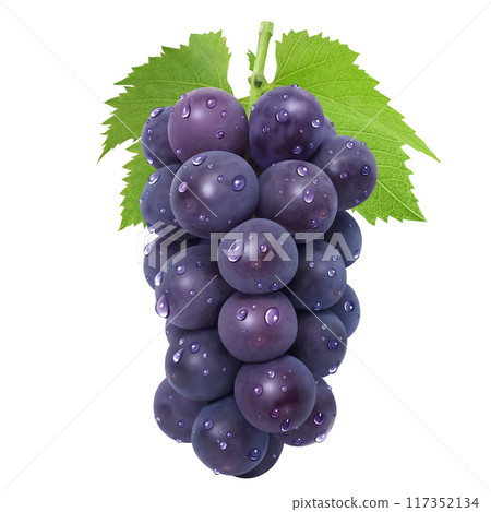 巨峰插畫真實葡萄 117352134