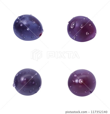 巨峰插畫真實葡萄 117352140