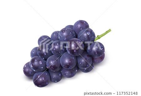 巨峰插畫真實葡萄 117352148