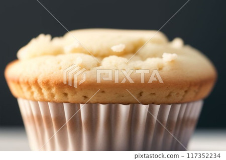 A Plain Muffin from Up Close 117352234