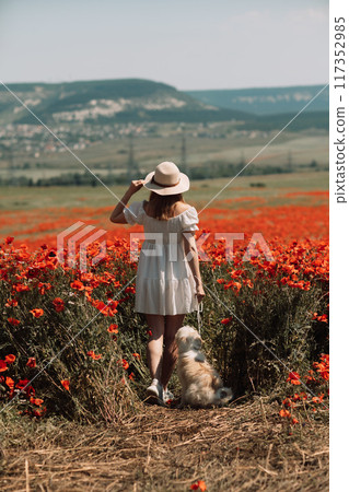 Field of poppies woman dog. Happy woman in a white dress and hat stand with her back through a blooming field of poppy with a white dog. Field of blooming poppies. Field of poppies woman dog. Happy woman in a white dress and hat stand with her back through a blooming field of poppy with a white dog. Field of blooming poppies. 117352985