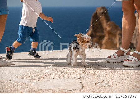 small dog is standing on a beach next to a child and a woman. The dog is looking at the camera and he is curious. The scene is relaxed and casual, with the family enjoying their time at the beach. small dog is standing on a beach next to a child and a woman. The dog is looking at the camera and he is curious. The scene is relaxed and casual, with the family enjoying their time at the beach. 117353358