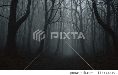 Eerie Forest Pathway, Foggy Atmosphere, Bare Trees, Dark Woods, Ominous Setting, Perfect Halloween Backdrop, Dense Forest, Spooky Ambiance Eerie Forest Pathway, Foggy Atmosphere, Bare Trees, Dark Woods, Ominous Setting, Perfect Halloween Backdrop, Dense Forest, Spooky Ambiance 117353839