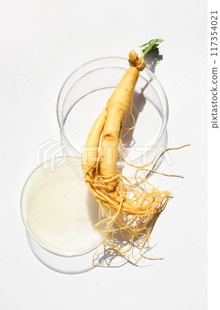 Abstract cosmetic laboratory. Ginseng in Petri Dishes 117354021