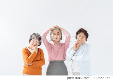 擔心的高級婦女 117354056