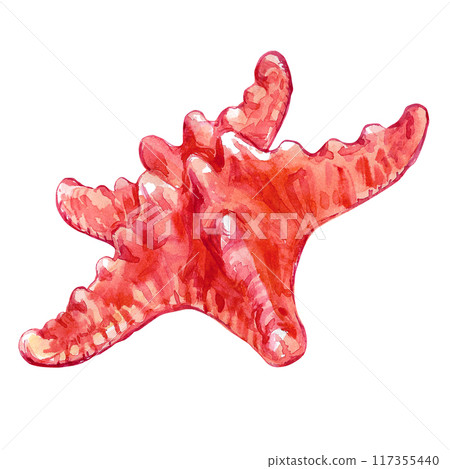 Starfish from the series sea creatures underwater world in watercolor. Asterias Rubens in reddish with a central disk and five arms. The common Starfish, common Sea Star or Sugar Starfish is drawn in 117355440