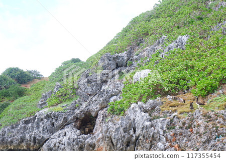 南島自然風光 南島自然風光 117355454