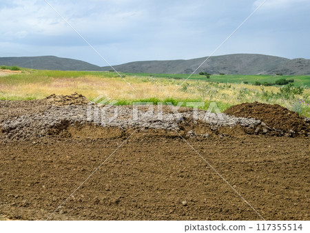 Piles of manure in field. Cow and horse manure with land. Piles of manure in field. Cow and horse manure with land. 117355514