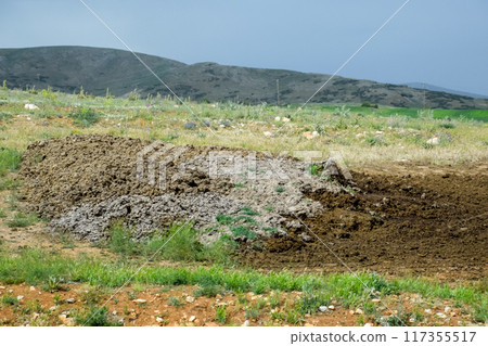 Piles of manure in field. Cow and horse manure with land. 117355517