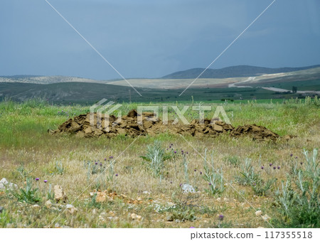 Piles of manure in field. Cow and horse manure with land. Piles of manure in field. Cow and horse manure with land. 117355518