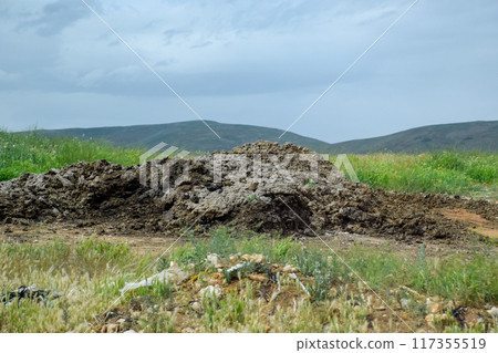 Piles of manure in field. Cow and horse manure with land. Piles of manure in field. Cow and horse manure with land. 117355519
