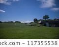 The contrast between the blue summer sky and the green grass 117355538