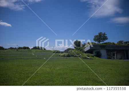 The contrast between the blue summer sky and the green grass 117355538