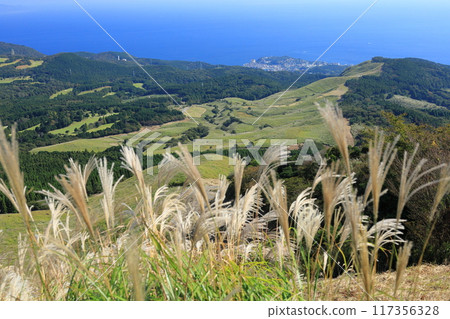 從細野高原看到的東伊豆町稻取港 2 117356328