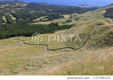 從細野高原看到的東伊豆町稻取港 1 117356329