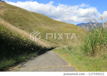 東伊豆町細野高原Susuki 6 117356521