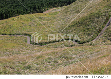 東伊豆町細野高原Susuki 8 117356523