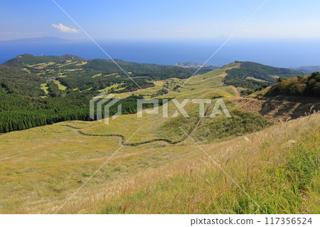 東伊豆町細野高原Susuki 9 117356524