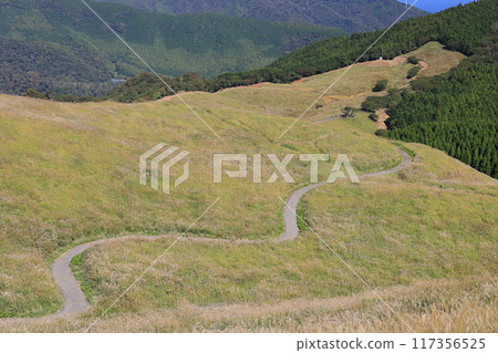 東伊豆町細野高原Susuki 10 117356525