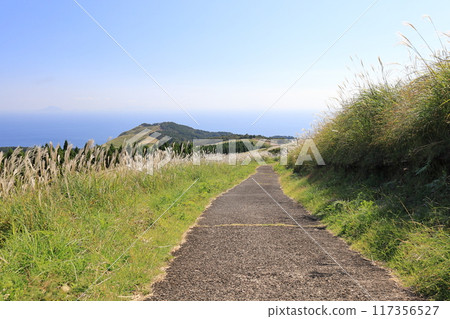 東伊豆町細野高原Susuki 2 117356527