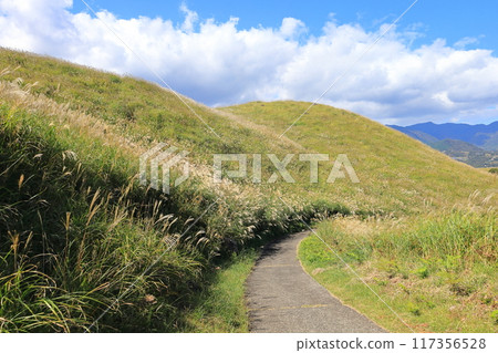 東伊豆町細野高原Susuki 3 117356528