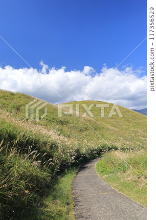 東伊豆町細野高原Susuki 4 117356529