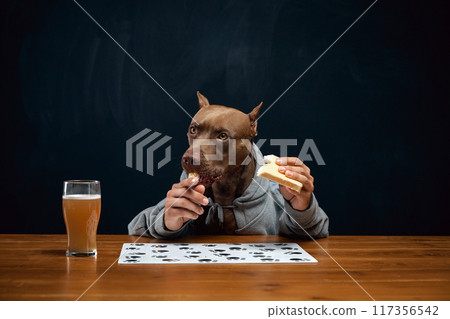Brown pit bull with human body element eating cheese sandwich and drinking lager beer. Food and drinks, Oktoberfest, party, pub and restaurant. Brown pit bull with human body element eating cheese sandwich and drinking lager beer. Food and drinks, Oktoberfest, party, pub and restaurant. 117356542